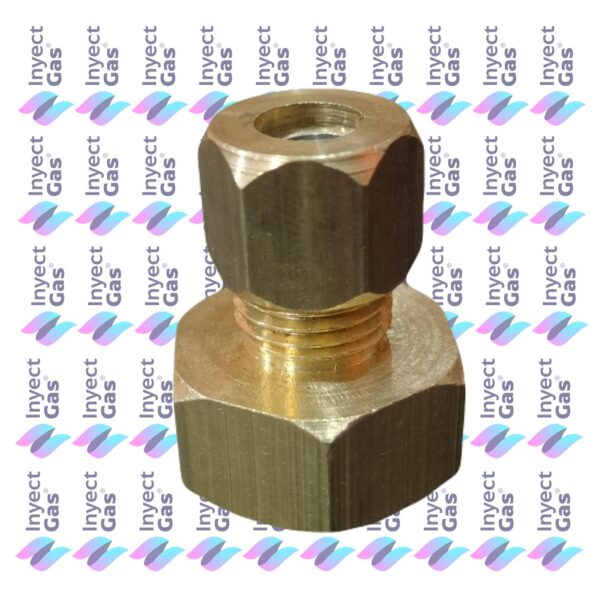BG 2109 REDUCCIONES 1/2 HEMBRA - 1/4 MACHO COMPLETA