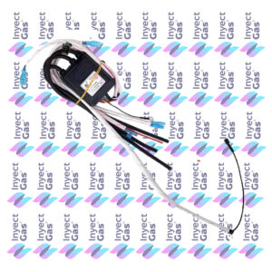 ES223 UNIDAD DE CONTROL CALEFON 14 LITROS