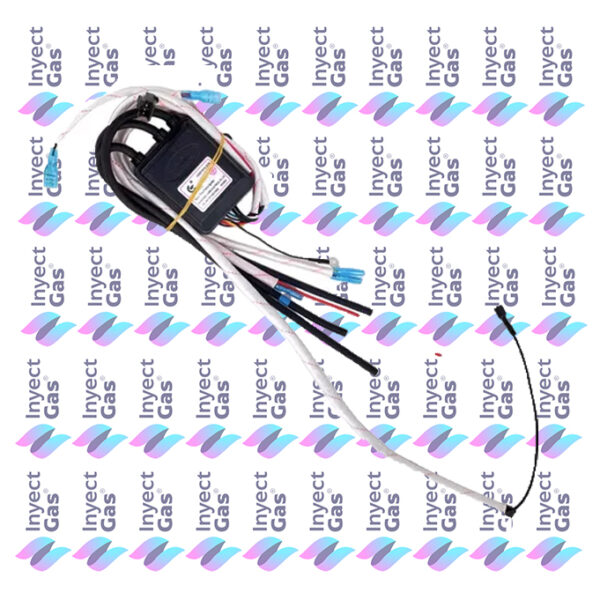 ES223 UNIDAD DE CONTROL CALEFON 14 LITROS