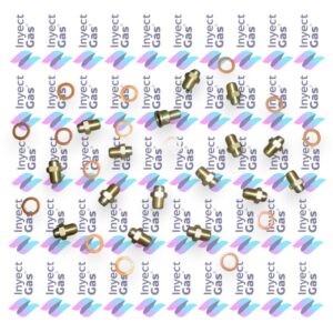 OR294 KIT INYECTORES GLP CALDA AG DIAM 0.75-.020 CALDERAS