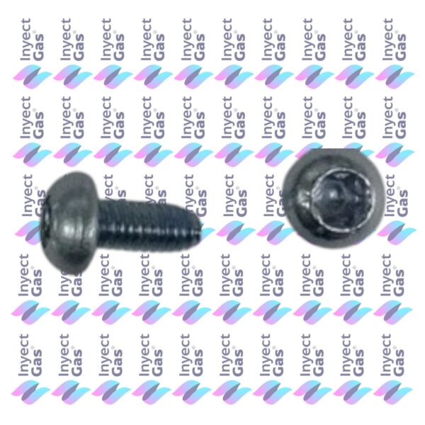OR382 TORNILLO TERMOSTATO TORX T10 CALDERAS