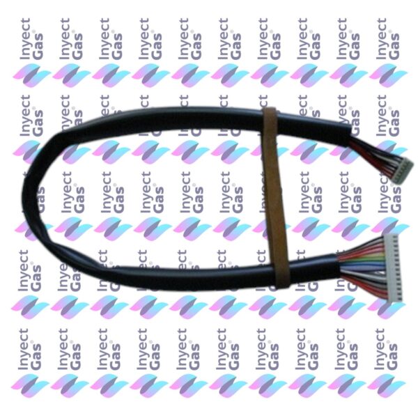 OR456 CABLES DISPLAY BTO KNK CALEFONES