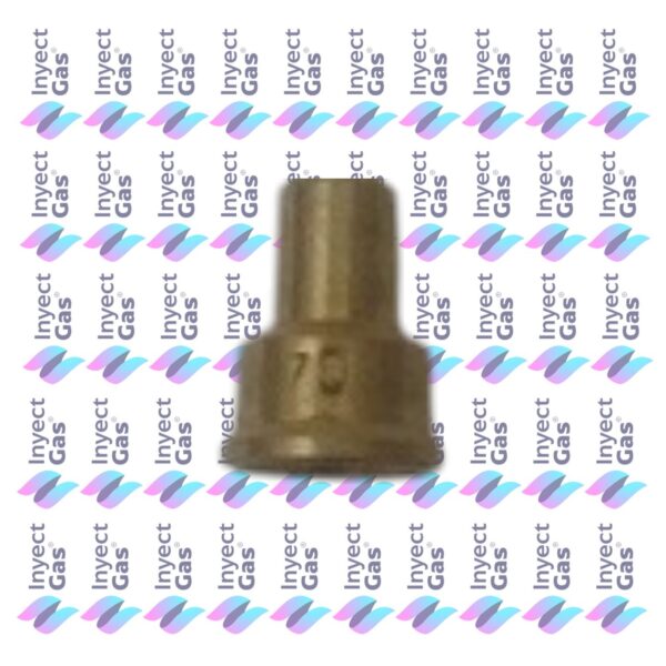 OR591 INYECTOR PILOTO CALEFON GN 0.7 CALEFONES