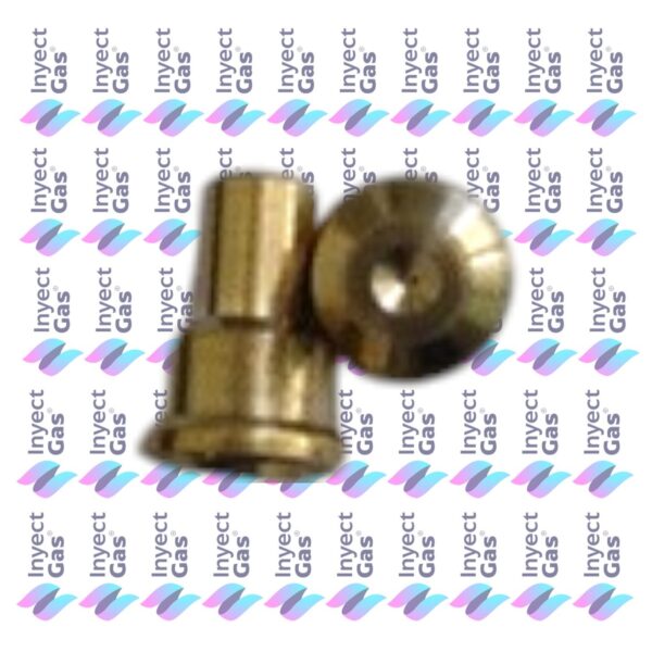 OR592 INYECTOR PILOTO CALEFON/ESTUFA TB-TN GN 2X0.25 CALEFONES