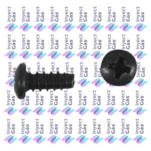 OR735 TORNILLO PORTA INYECTOR A PAR.TRASER CALEFONES