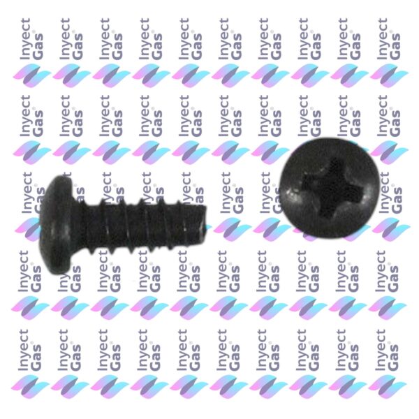 OR735 TORNILLO PORTA INYECTOR A PAR.TRASER CALEFONES