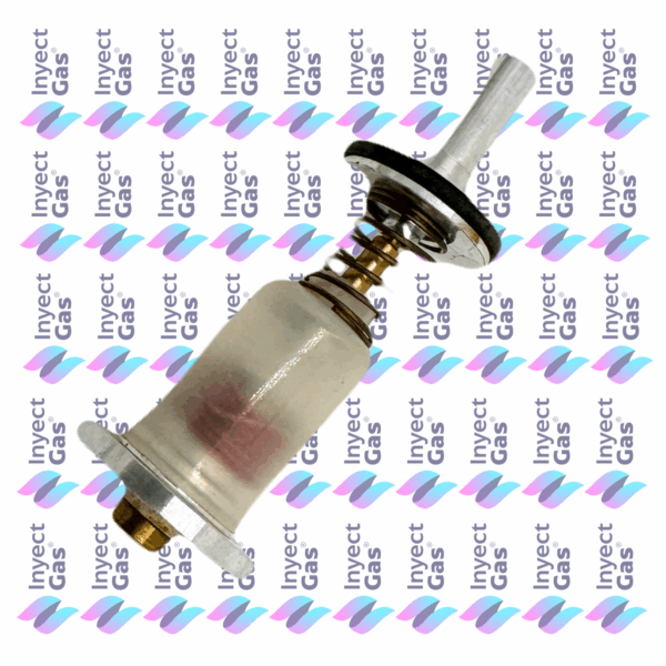RV 3032 UNIDAD MAGNETICA PARA CALEFON LONGVIE MODERNA