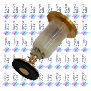 RV 5689 UNIDAD MAGNETICA PARA CALEFON LONGVIE VALVULA VAP MODERNA